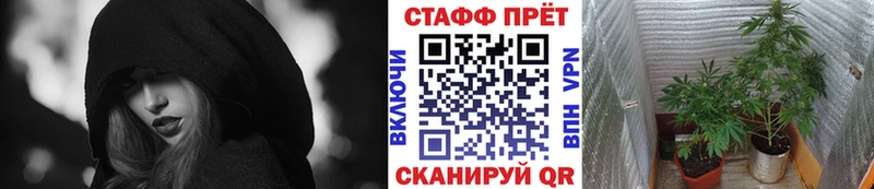 Где купить Губаха Псилоцибиновые грибы COCAIN ГАШИШ Канабис СОЛЬ