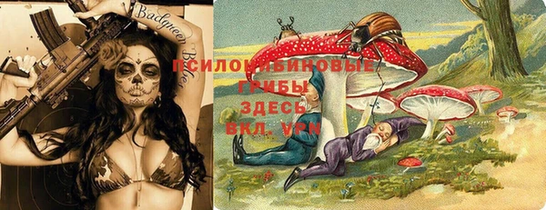 бошки Баксан