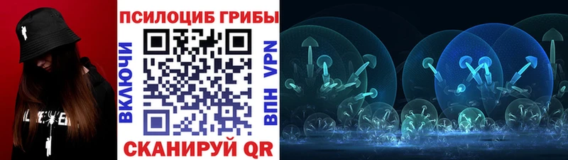 Псилоцибиновые грибы прущие грибы  omg ССЫЛКА  Губаха 