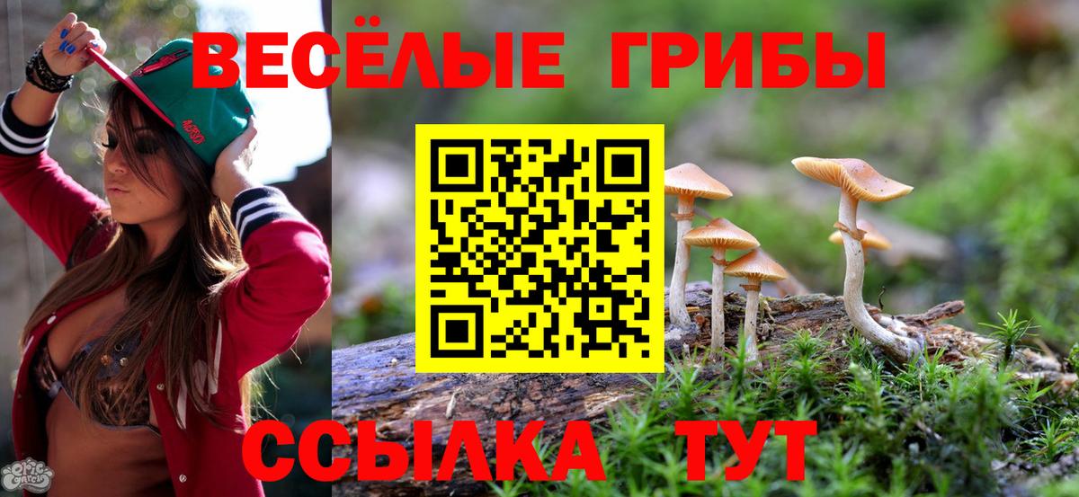 Губаха  Галлюциногенные грибы прущие грибы  Вход с VPN 