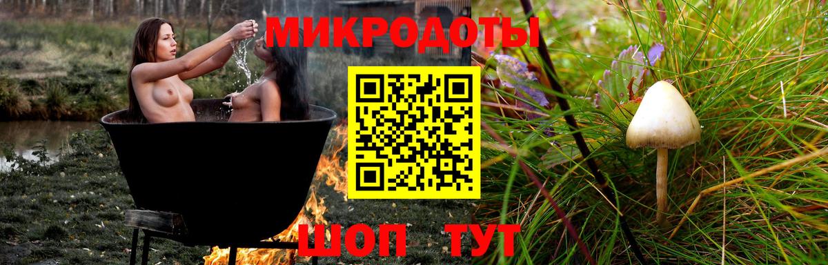 Псилоцибиновые грибы мухоморы Губаха